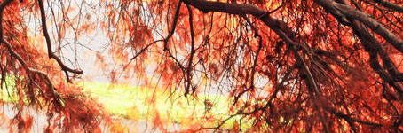 秋思手机号轰炸平台