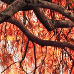 接码短信社区平台