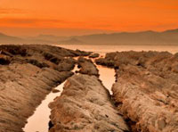 安全可靠的电话测压平台